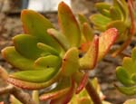 12_02_05_076